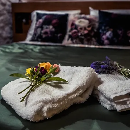 Montanhas Do Xisto - Casa Da Eira * Candal (Lousa)